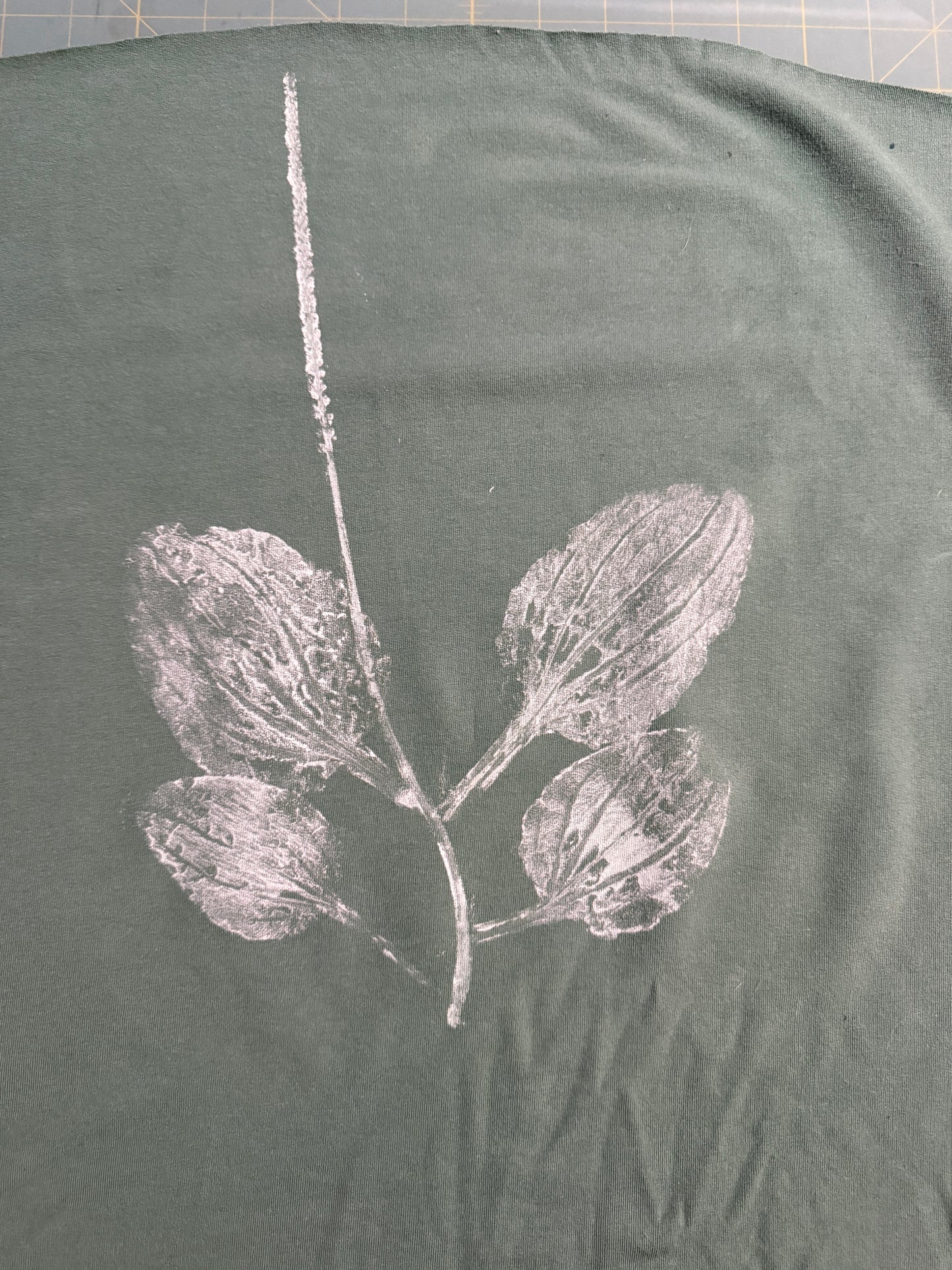 Organic Plantain Forager Hoodie - Adult Sizes