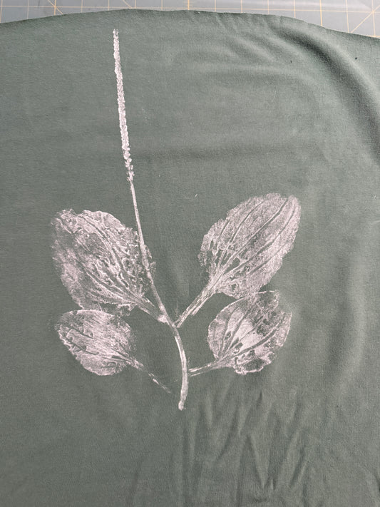 Organic Plantain Forager Hoodie - Adult Sizes